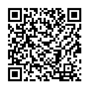 不过前面的好歹也是一队精锐高阶职业者组成的冒险团体二维码生成