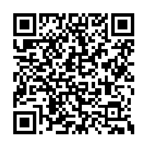 不过北晨风居然是一个物理学力学方向的博士后二维码生成