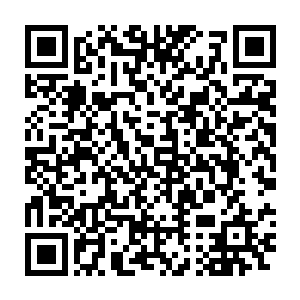 不过占我们对外贸易额最大份额的穆根草属于单价非常高的奢侈品二维码生成