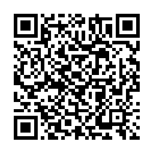不过即使是这样每个人的眼光中都充满了不甘和愤怒二维码生成