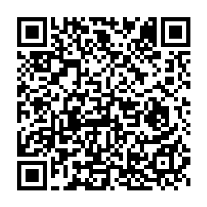 不过却也是方才才发现原来夫人配给婧语的丫鬟几乎都到了夫人房中二维码生成