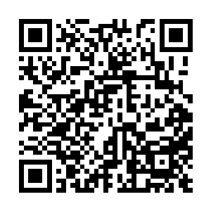 不过却可以在第一时间用八道始祖印记去进行修复二维码生成