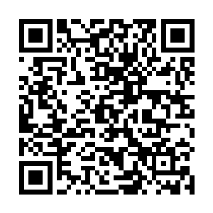 不过却无法分辨出楚暮的云之意境到底领悟到什么层次二维码生成