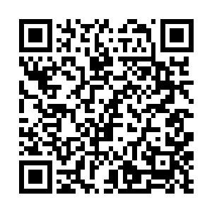 不过却是可以断定此刻自己不是在海岛上就是在海边二维码生成