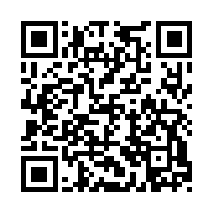 不过却是松鼠这小玩意的洞里真是不少东西二维码生成