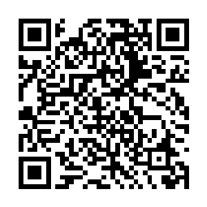 不过却是见过两个修炼不同属性力量的人并肩作战二维码生成