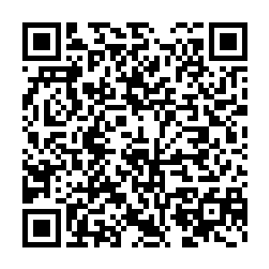 不过却看到那些熔浆怪兽带着那些赤发汉子又默默潜入了熔浆湖中二维码生成