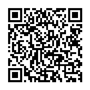 不过原本心中对龙傲天所说的那个丹帝的传承却是深信不疑了二维码生成