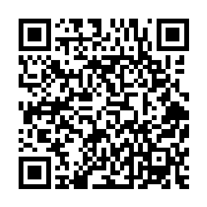 不过参考这里的人类大多都是某神和某人或某神奇物种的后代二维码生成