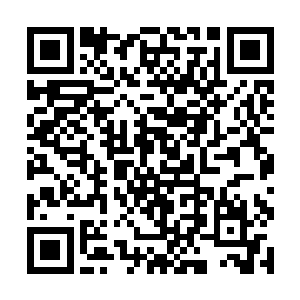 不过另外两个归顺山寨的山贼看着年纪轻轻的朱平安二维码生成