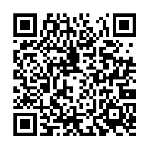 不过只抓住了小刀放在沼泽下面的那只空空的手掌二维码生成