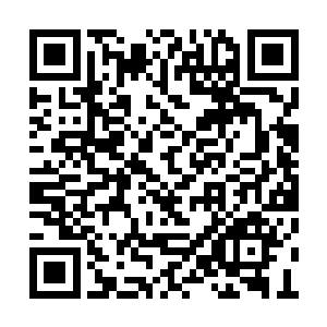 不过只是有资格在元山永恒树下悟道的后辈而已二维码生成