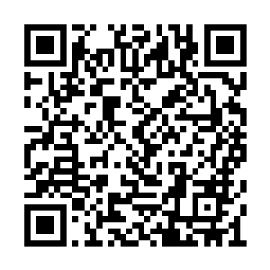 不过可以确定的是必须夺取尽可能多的本源份额二维码生成