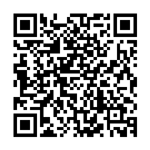 不过可惜这些人当中大部分都没有开启定海神珠的修真传承功能二维码生成