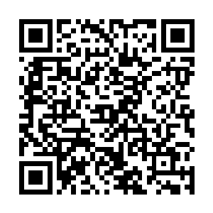 不过叶凡还是有选择地将她们两人送入了一片秘林之中二维码生成