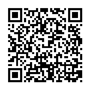 不过叶尊这种稍微放松下来的心情持续不到一天二维码生成