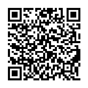 不过叶尊那一剑没有阻止住中年男子的掌劲攻击二维码生成