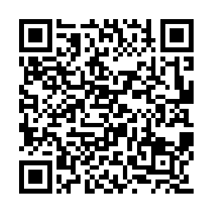 不过后来我玩了一阵不喜欢了就乱丢……没想到二维码生成