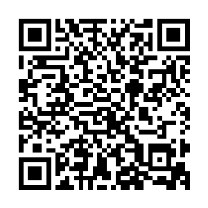 不过听牛局说这应该是港商给县里领导千部的一个福利政策吧二维码生成