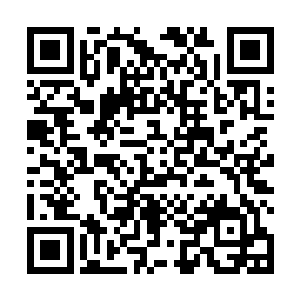 不过听着谷灵和白奇雪的对话我竟然有点像进去看看了二维码生成