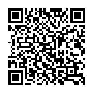 不过吴莉莉小姐我想她会更愿意留下来跟我们聊天而不是跟你走二维码生成