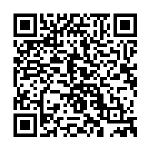 不过周家辉却也从孙国伟的话中听出了他的意思二维码生成