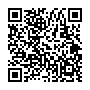 不过和莫咏星的结果一样麒麟到最后一步怎么也转不过来二维码生成