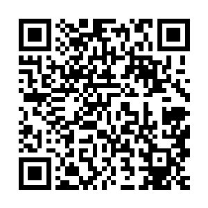 不过和队友们有说有笑的荣光依然是没有扭头看马斯切拉诺一眼二维码生成