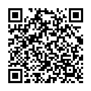 不过唐劫并不打算以参万仙鼎的方式去囫囵吞枣般的消化二维码生成