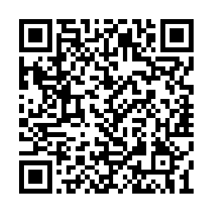 不过四五百年的时间足够元婴期修士找到机缘了二维码生成