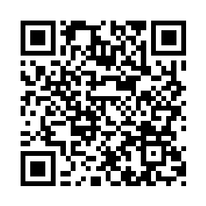 不过因为刚刚被几个县官夫人派来的丫鬟打过二维码生成