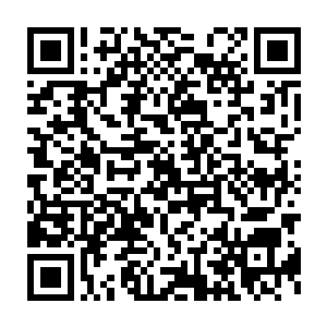 不过因为这一次拍摄的意外事故也吸引到了不少媒体和粉丝的到来二维码生成