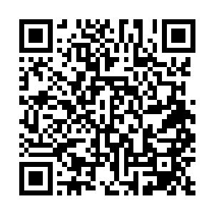 不过在九龙镇魂大阵的压制还有九阳诛邪大阵的镇压之下二维码生成