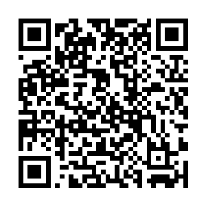 不过在他身上却能清晰地看见一道道密密麻麻的伤口二维码生成