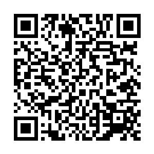 不过在众人的轮流试探之下发现这些禁制与第一个遭遇的一样二维码生成