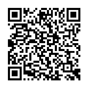 不过在倒下去的那一瞬间他直接抬起壮汉的尸体二维码生成