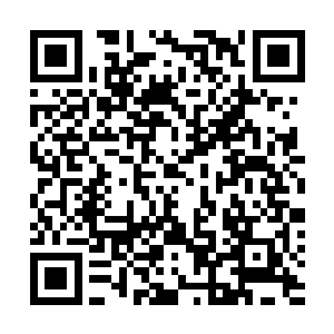 不过在别人眼中看来龙傲天只是一个九级初期的剑士而已二维码生成