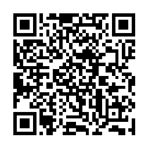 不过在我这第一代妖尸的眼前如果让他逃跑成功的话二维码生成