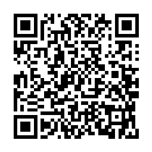 不过在曲目的取舍方面乐队还是再次产生了争执二维码生成