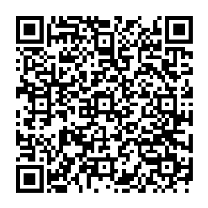 不过在知道了那些商修者每次捕捞的灵鱼数量还有夜青冥满不在乎说的肉鱼无数的时候二维码生成