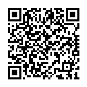 不过在脸上却并没有现出什么为紫剑激愤的神色二维码生成