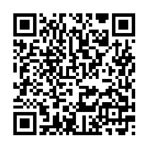 不过在西南斜下方还有西北正平方有其他灵力波动二维码生成