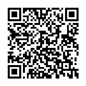 不过夏天刚才还使用了东翁的武功和北军的武功二维码生成