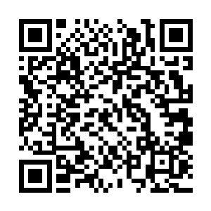 不过大多数人都是将目光投向了坐在轮椅上的郡主二维码生成