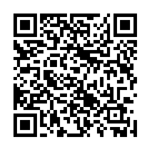 不过大概的时间段应该是百族已经开始抵挡不住浩劫的时候二维码生成