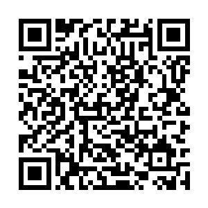 不过天道似乎是忘记了自己一边说着一边站起来了二维码生成