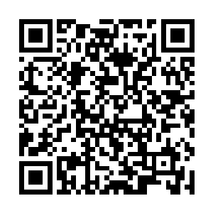不过奥利维亚从小到大最不喜欢吃的东西就是营养剂二维码生成