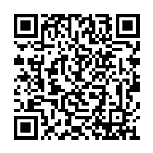 不过她想到的是这样对沈迟在部队的威信有好处二维码生成