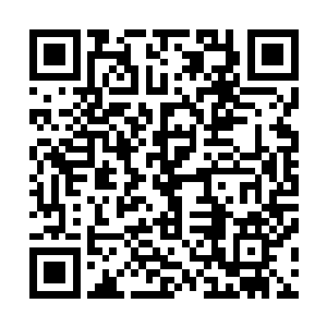 不过她是典型的军队成批量培养出来的合格乃至优秀的士兵二维码生成