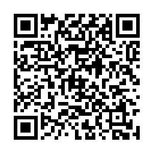 不过她最后找到了警察给两人做笔录时用的记录本二维码生成